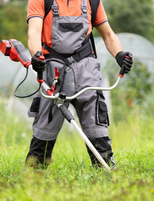 DeWatermark.ai_1756066921644