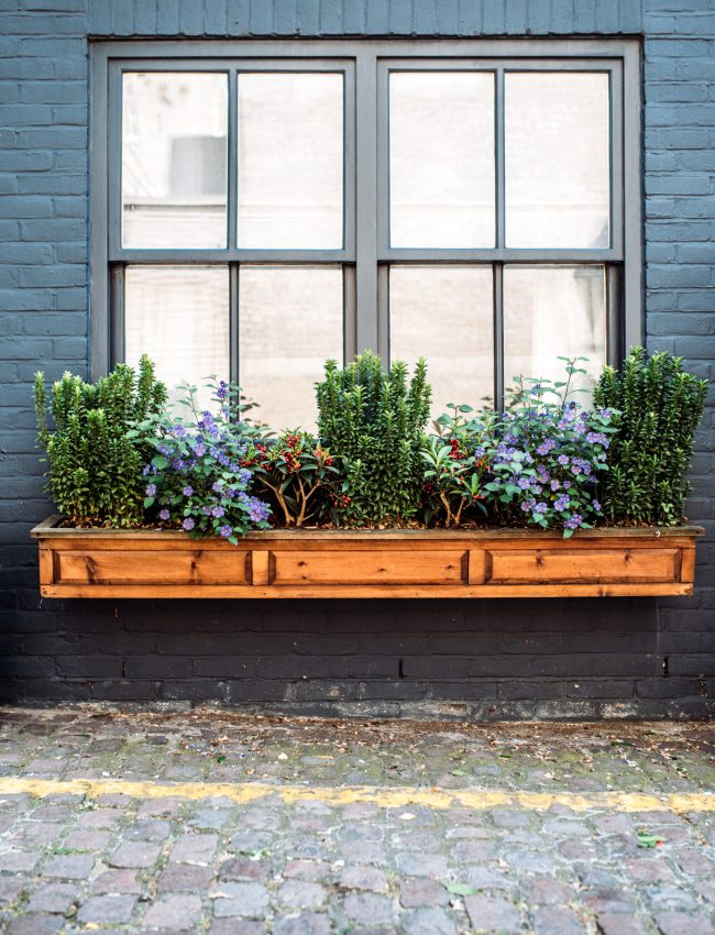 Beautiful windows with flowers on a black facade house